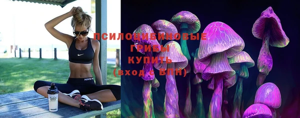 стаф Белокуриха