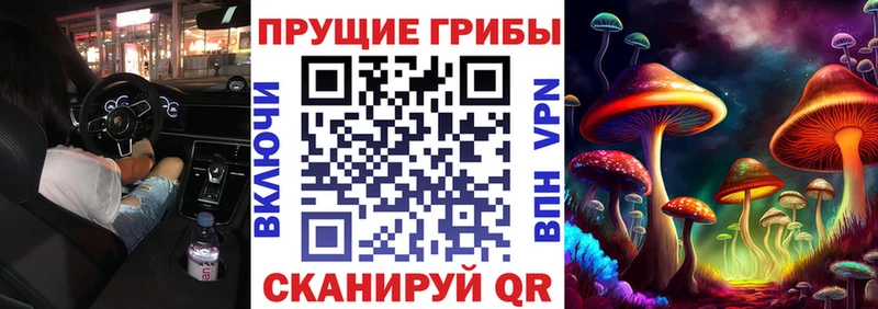 Псилоцибиновые грибы Psilocybine cubensis  Красавино 